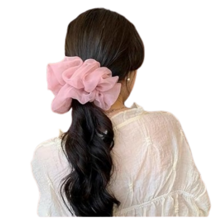 Picture for category Organza Scrunchies