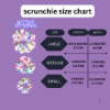 Picture of Dual-Tone Satin Scrunchies Combo- Medium -Pack of 4